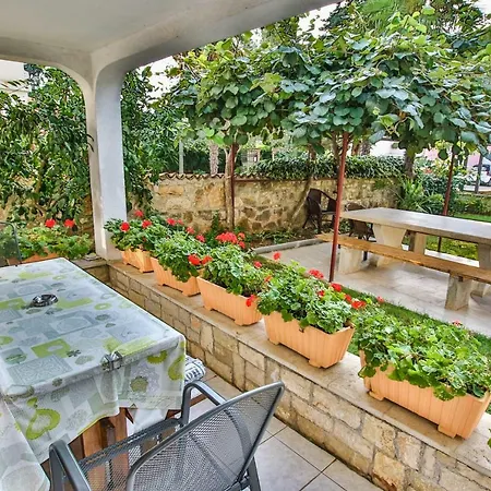 Carolina 4 Seasons Poreč